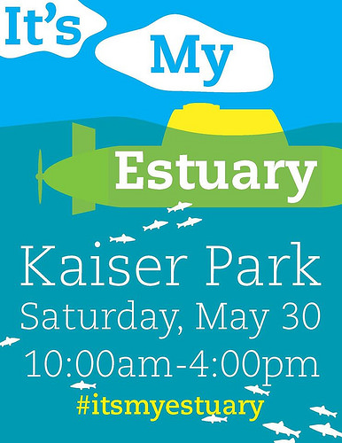 It's My Estuary Day