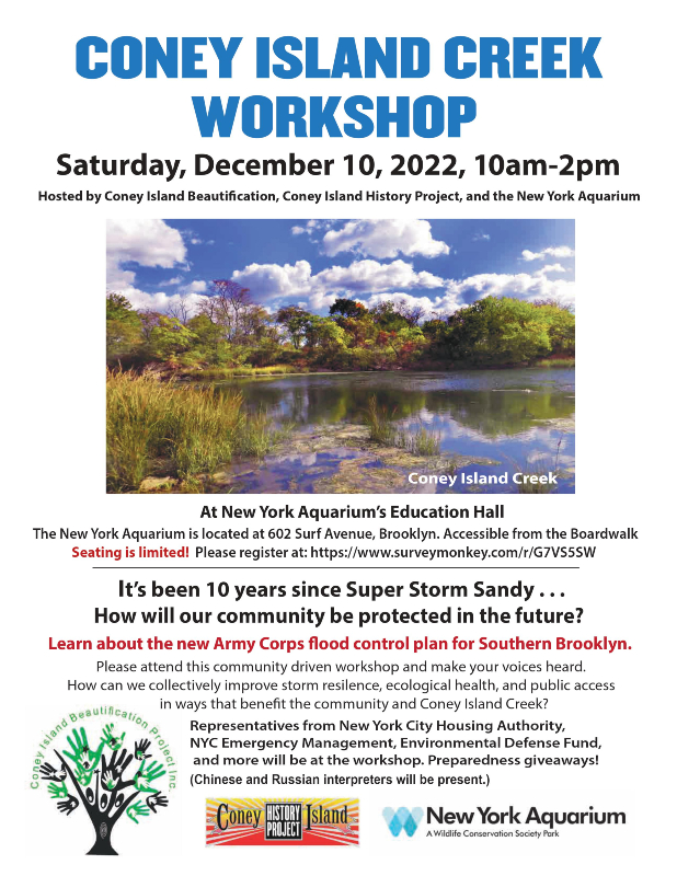 December 10 Coney Island Creek Workshop