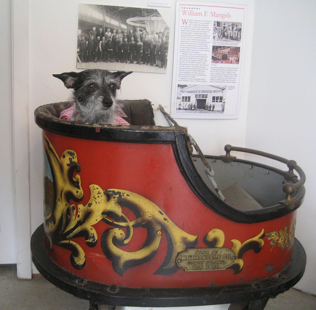 Mackie rides the Whip Car at Coney Island History Project