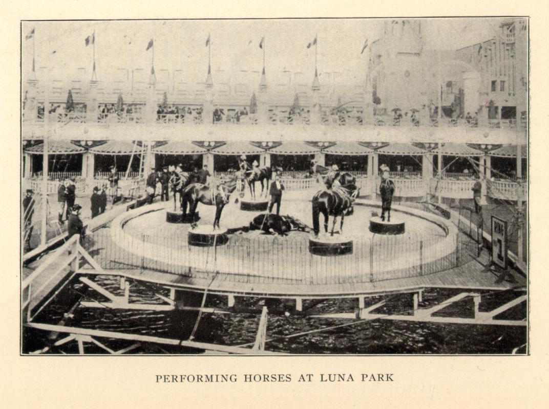 Page 15 (top): Performing Horses at Luna Park | Coney ...
